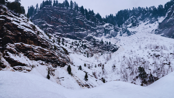 Himachal: Tourists spend night in cars as snow traps vehicles near Atal Tunnel; snow clearance in full swing