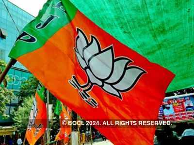 Most leaders who met Arun Singh feel leadership in Karnataka should be changed, claims BJP MLC Vishwanath