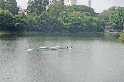 The task of Sparrow: BBMP’s job is cut out