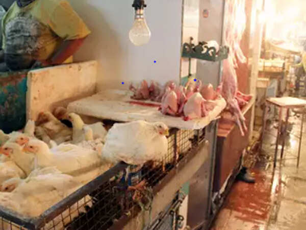 Lucknow: Covid situation an opportunity to create hygienic meat market, say doctors