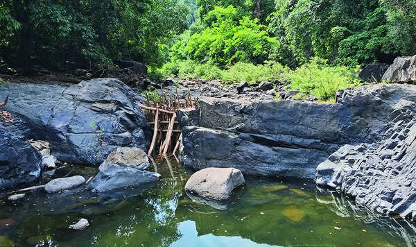 Fishing ban on, Mhadei locals switch to older ‘check dam’ ways