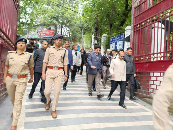 Nainital legal fraternity observes ‘No Vehicle Day’, HC turns into green zone