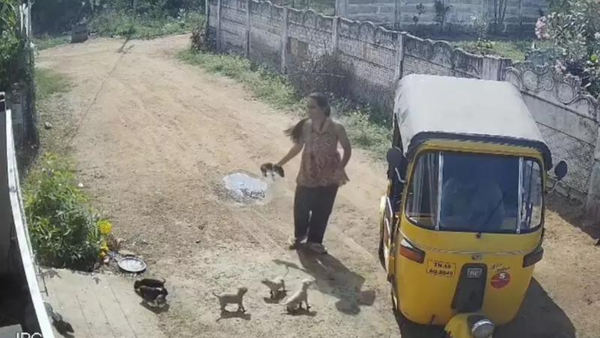 Watch: In rage after neighbour hurt her son, Trichy woman hurls puppies against wall; 2 die