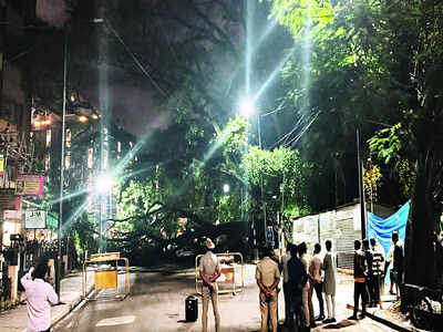 Root cause of issue: Heritage peepal tree falls