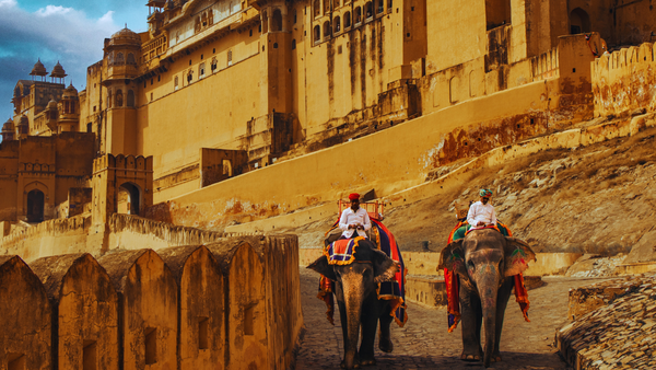 “Elephants and dromedaries in the streets… looked drugged as hell”: The experience that left this foreign traveller uncomfortable