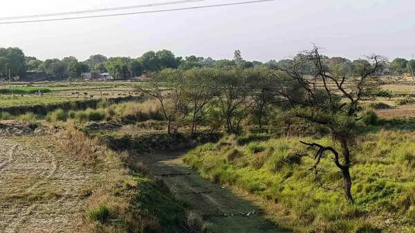 Govt to revitalize Kilanhai River in Kaushambi