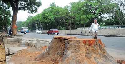 BBMP to push on with Sarjapura Road widening