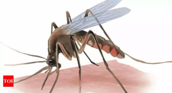 18 dengue clusters identified across Noida, Greater Noida