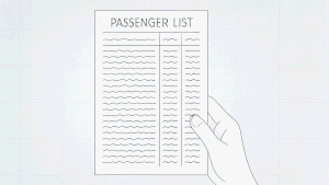 When you fly within the US, what does immigration see about you?