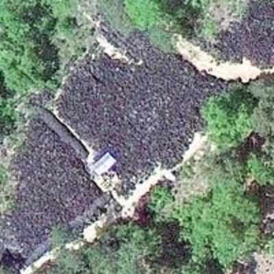 Huge mound of tyres that can be seen from space