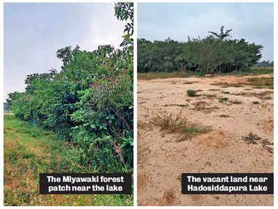 Scene is set for land grab at lake land