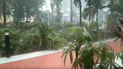 Chennai Rains LIVE Updates: Police receive over 325 rain-related distress calls in 24 hours