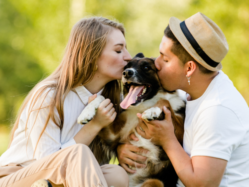 why should you not kiss your dog