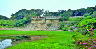 Soon, ‘Niagara falls’ in Lalbagh