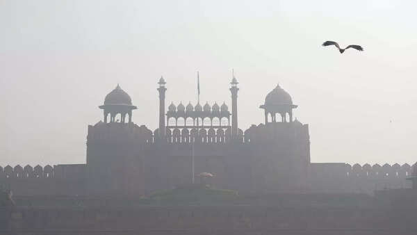 What Delhi’s grey sky’s hiding