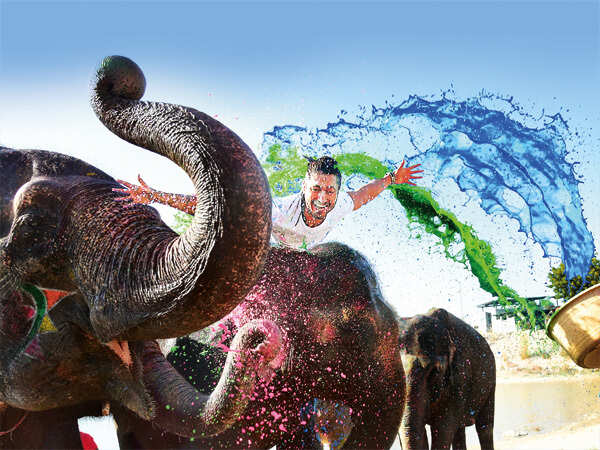 A jumbo-special Holi! Vidyut Jammwal bonds and makes a splash with elephants in Jaipur
