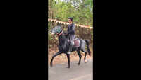 Bicholim police find &lsquo;highway&rsquo; horse fit after medical exam