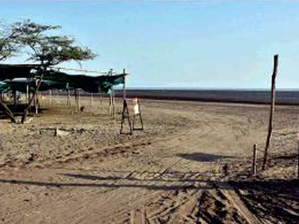 Shrimps seen near Dumas after 20 years