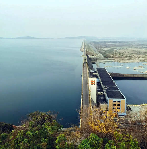 Mahanadi tribunal raps Odisha, Chhattisgarh over repeated adjournments