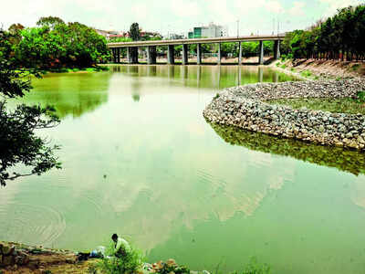 Care for a stroll around the Benniganahalli lake?