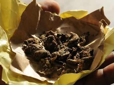 Mumbai DRI looks out for two ‘Naxal sympathisers’ who helped cannabis import to city