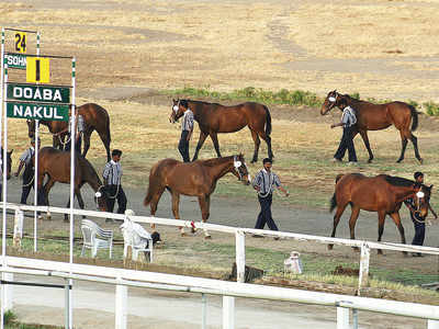 Mumbai racing season reopens in Pune today