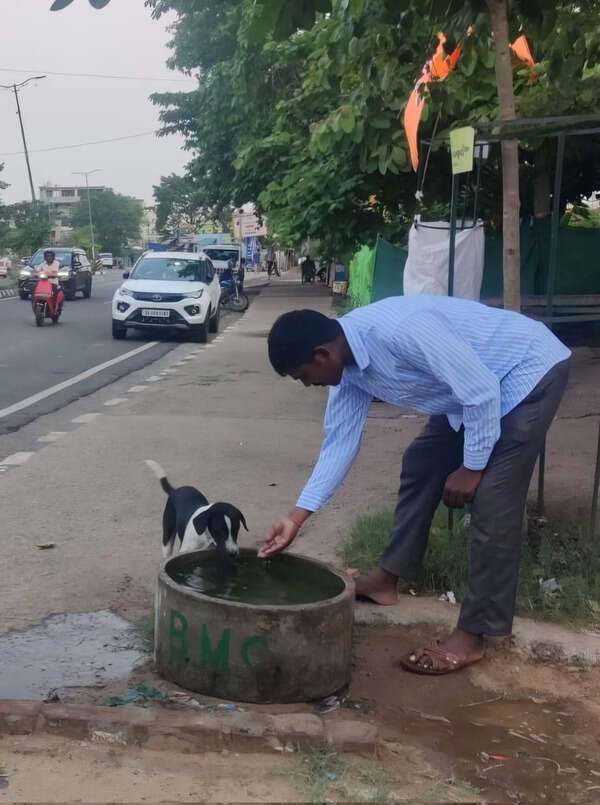 3 truck-mounted tankers to fill water vats for stray animals this summer