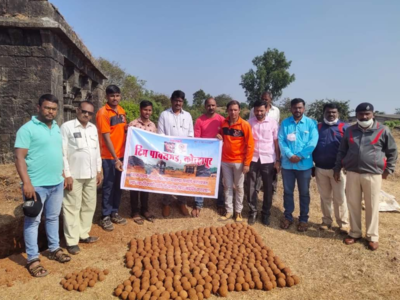 Over 400 cannonballs discovered at Pavangad fort