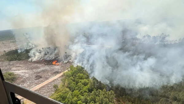 Fast-growing Georgia wildfire tops 80 square kms, with evacuations possible