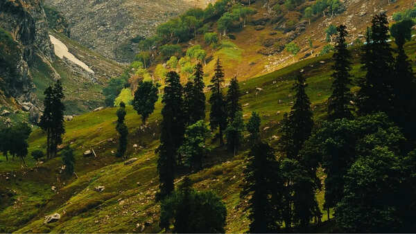Staying in that room in Dharamshala changed my entire trip: An experience I will never forget