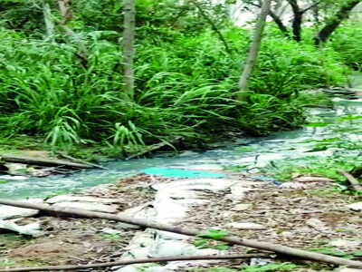 Yet another city lake is getting mucked up