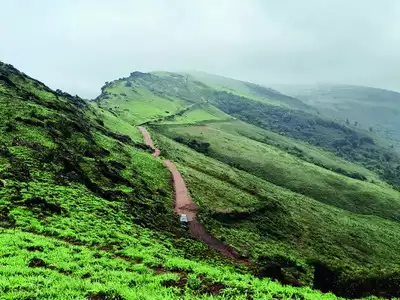 BM  Trippin’ Tales: Rains lay a green carpet over Chikkamagaluru