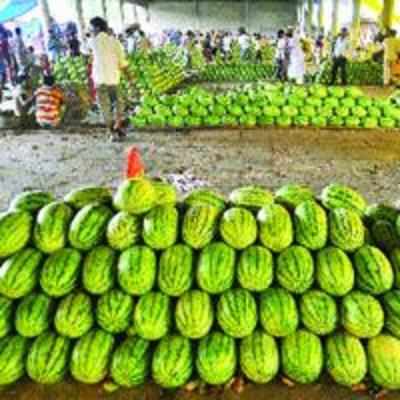 Sale of fruits peaks during Ramzaan, Shravan