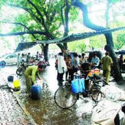 Illegal street food vendors back in certain areas of Vashi