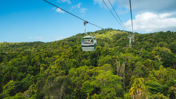 Fun for All: Queensland’s Top Family Adventures That Go Beyond Theme Parks