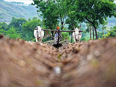 Only 23% farmers get crop loan