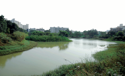 Once an area full of weeds, the Bengaluru's Akshayanagar Lake is now a star attraction. Thanks to this superhero