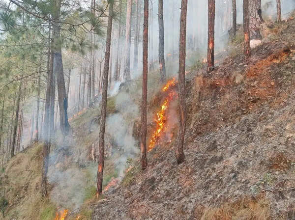 Srinagar in Pauri Garhwal records 390 AQI as wildfires, vehicles foul air