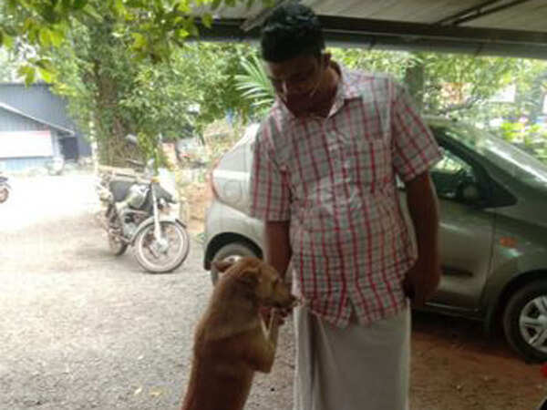 Man gets second life because of street dog, comes back to express gratitude