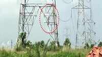West Bengal: Mentally disabled woman climbs electric pole in Asansol, rescued 