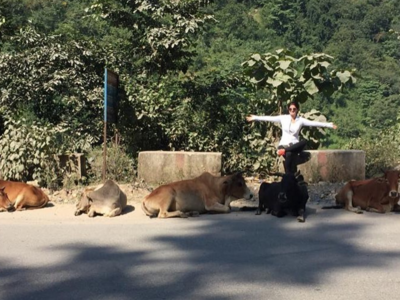 Twinkle Khanna: Some cows more sacred than others