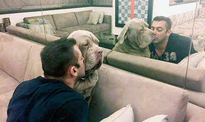 Sallu’s puppy love is forever now