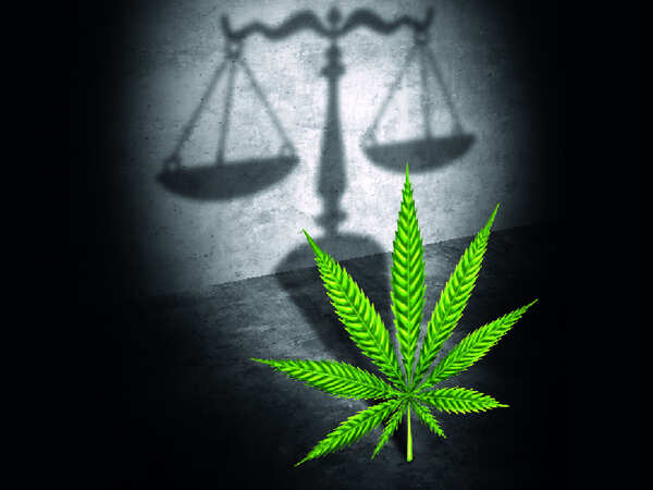 Ness Wadia's arrest in Japan rekindles marijuana debate in India: Why hard laws for soft drugs?