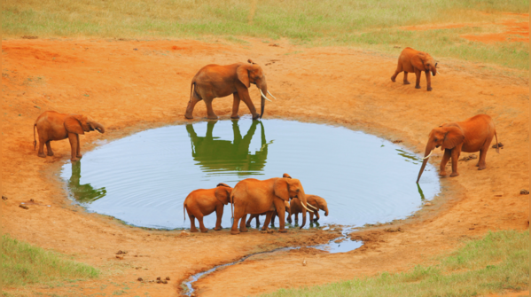 Kenya