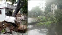 Cyclone Nisarga: Several trees uprooted in Maharashtra 