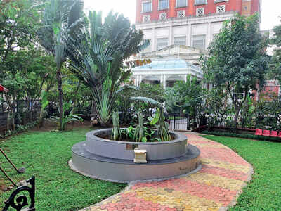 Novel idea: A library inside a BMC garden