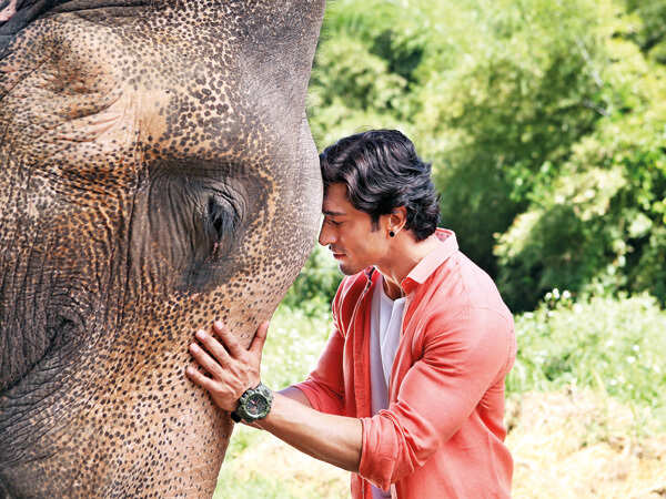 The life-changing dosti of Bhola and Raj in 'Junglee'