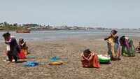 Cops punish women for catching clams on Maharashtra seashore 