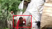 Locals rush to loot liquor bottles after truck carrying it overturned in Chhattisgarh’s Kawardha 