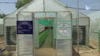 High-tech poly houses boost vegetable cultivation in Kashmir 